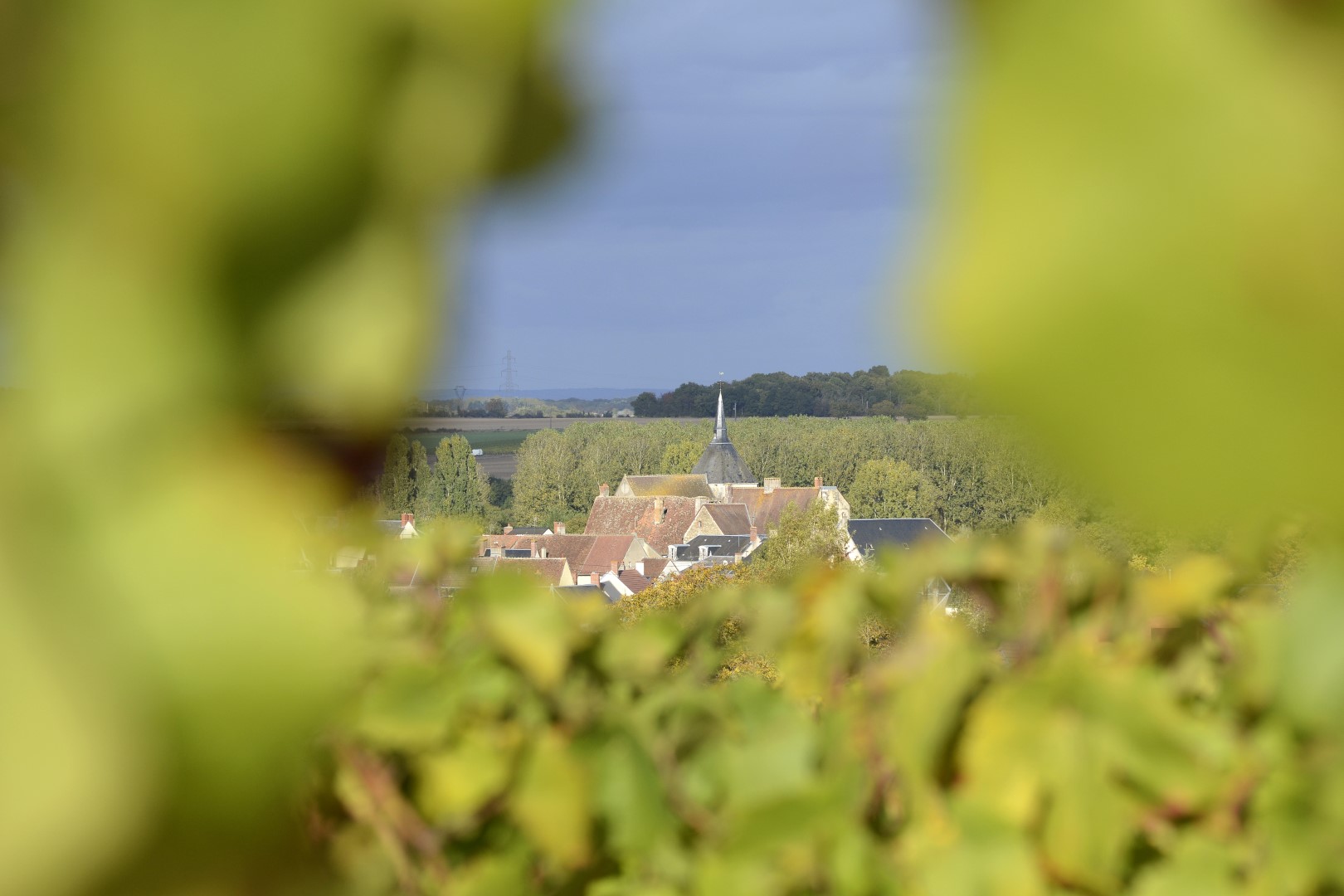 Domaine Valéry Renaudat
