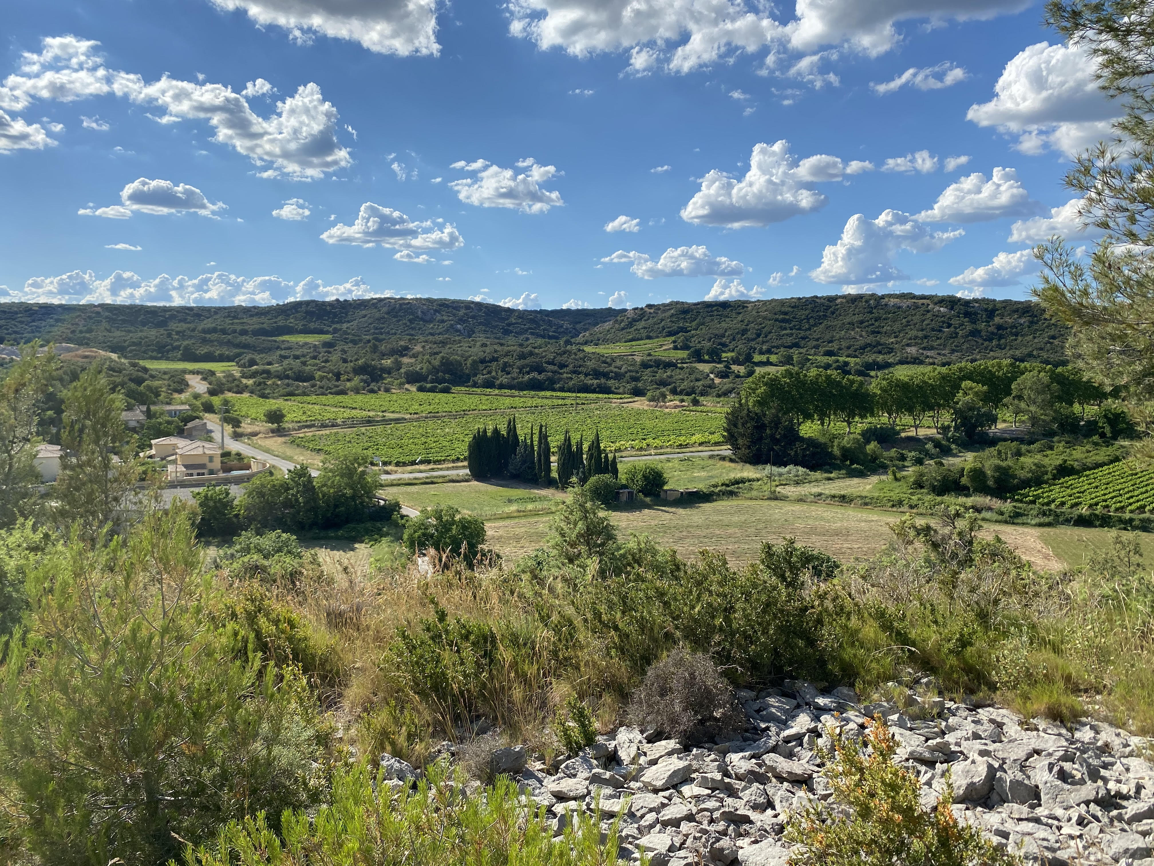 Domaine du petit Oratoire