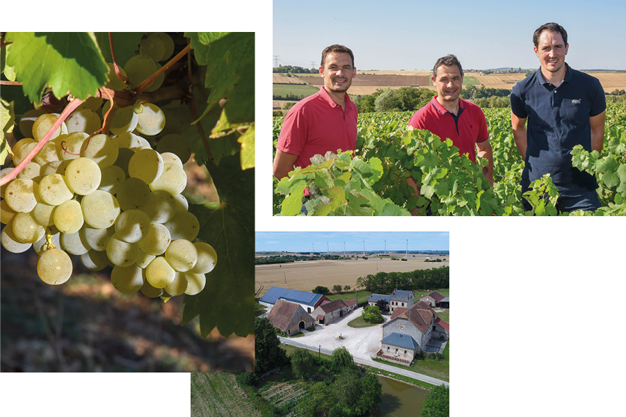 Domaine de Villargeau