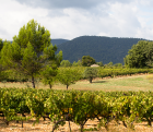 Château La Rose des Vents