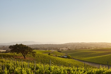 Domaine de la Roussille
