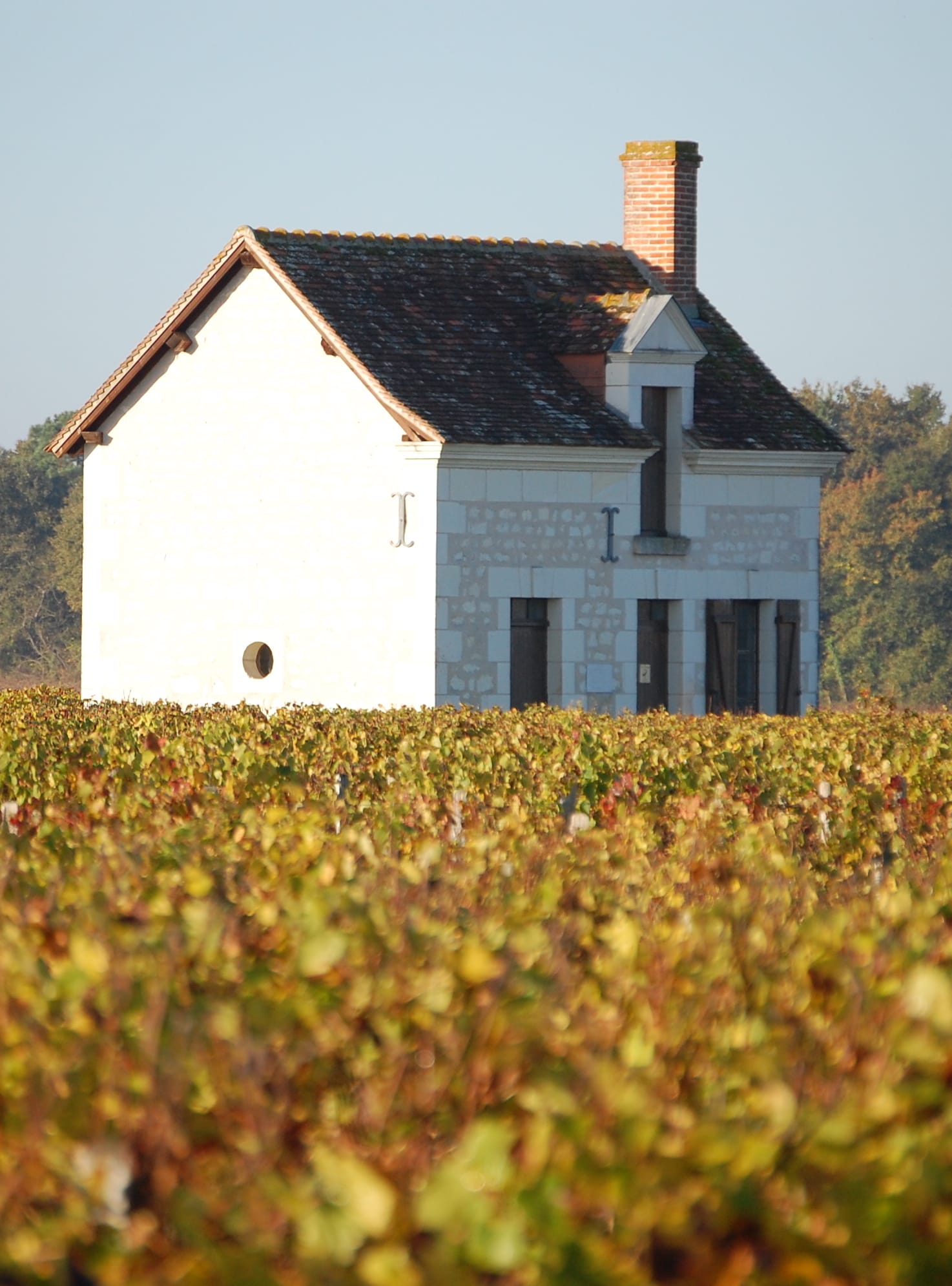 Vignobles Jourdain