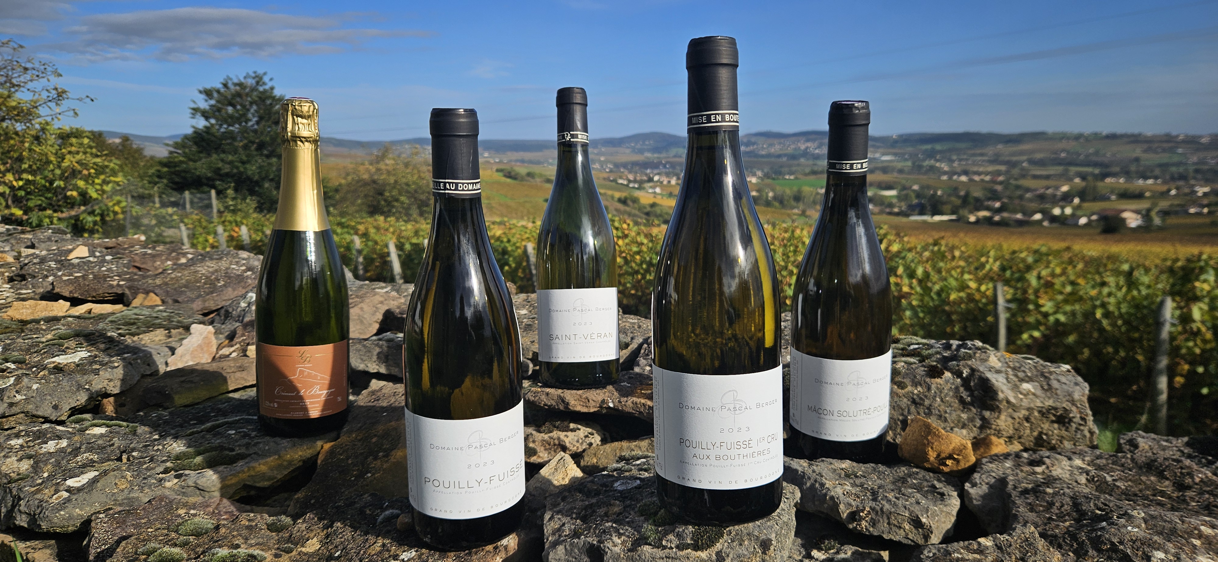 Domaine Pascal Berger