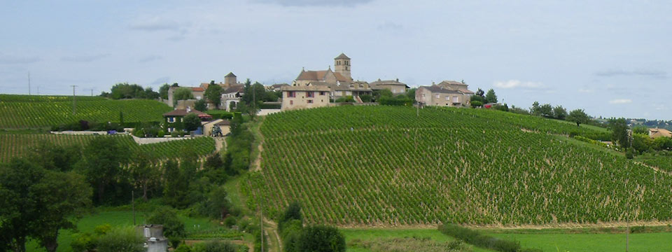 Domaine Corsin