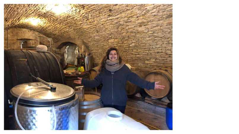 Morgane Turlier Vin nature