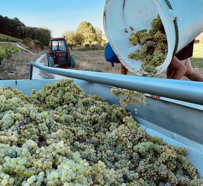 Domaine Chaumeau-Balland