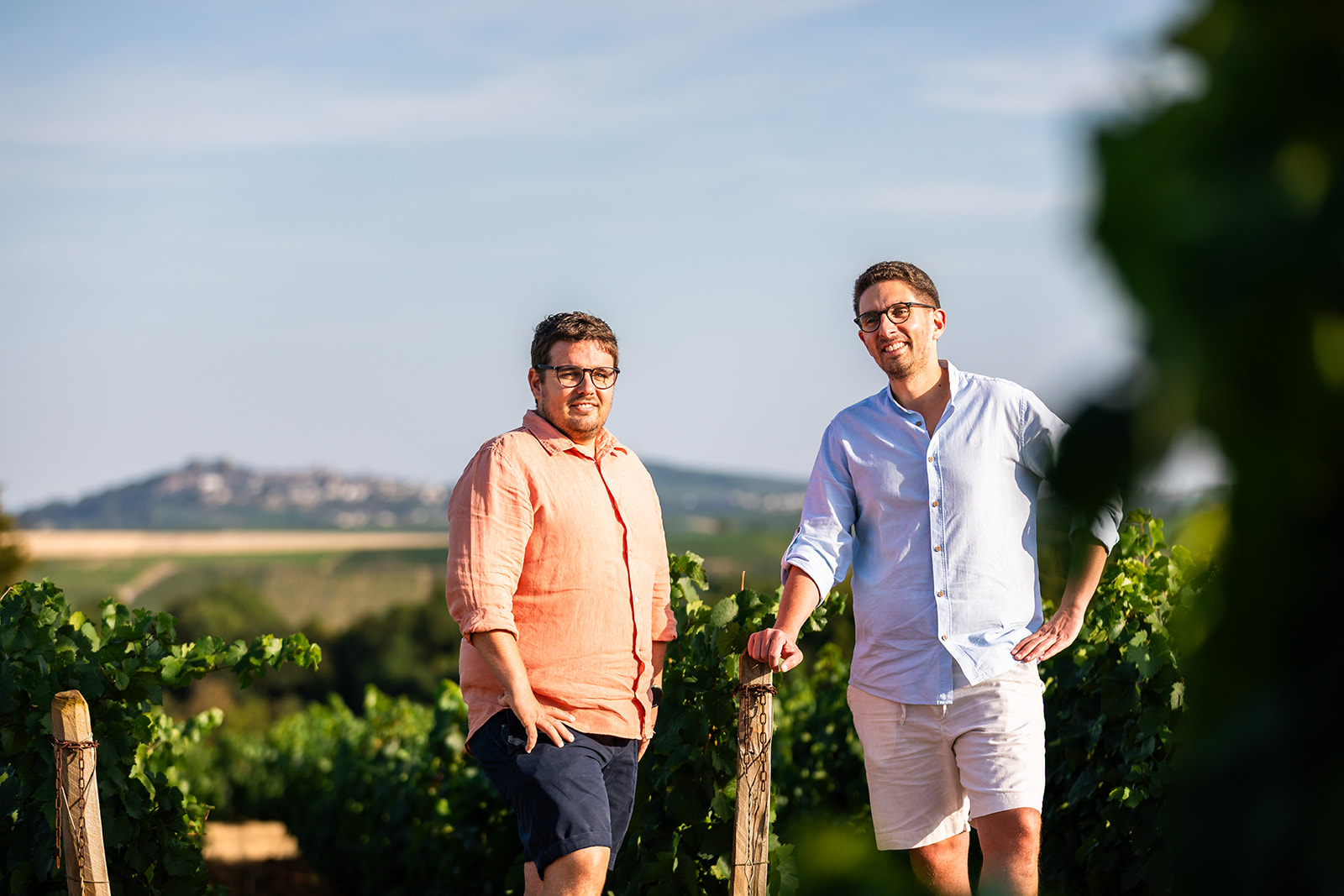Vignobles Berthier