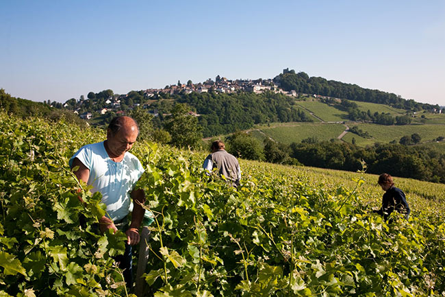 Domaine Roland Tissier et Fils