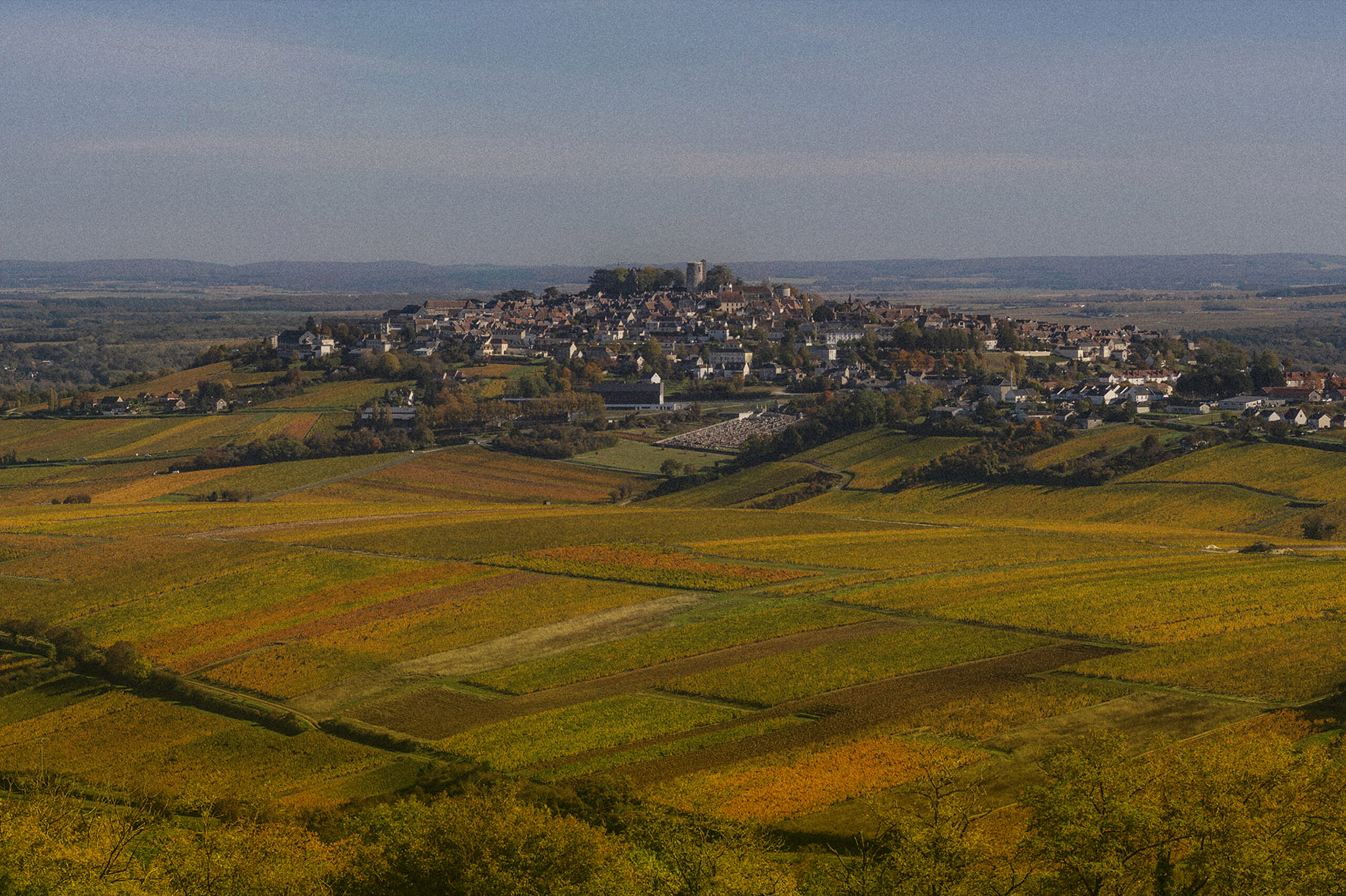Domaine Vincent Gaudry