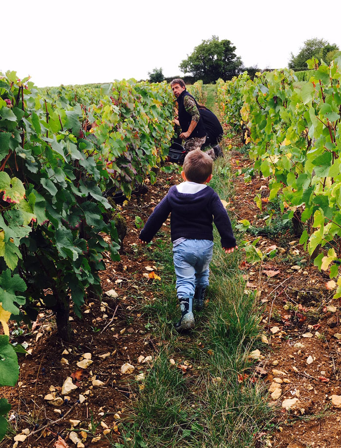 Domaine Legros