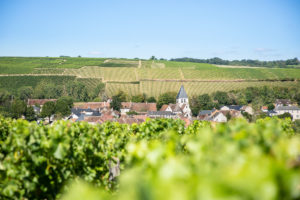 Domaine Jean-Marc & Romain Pastou