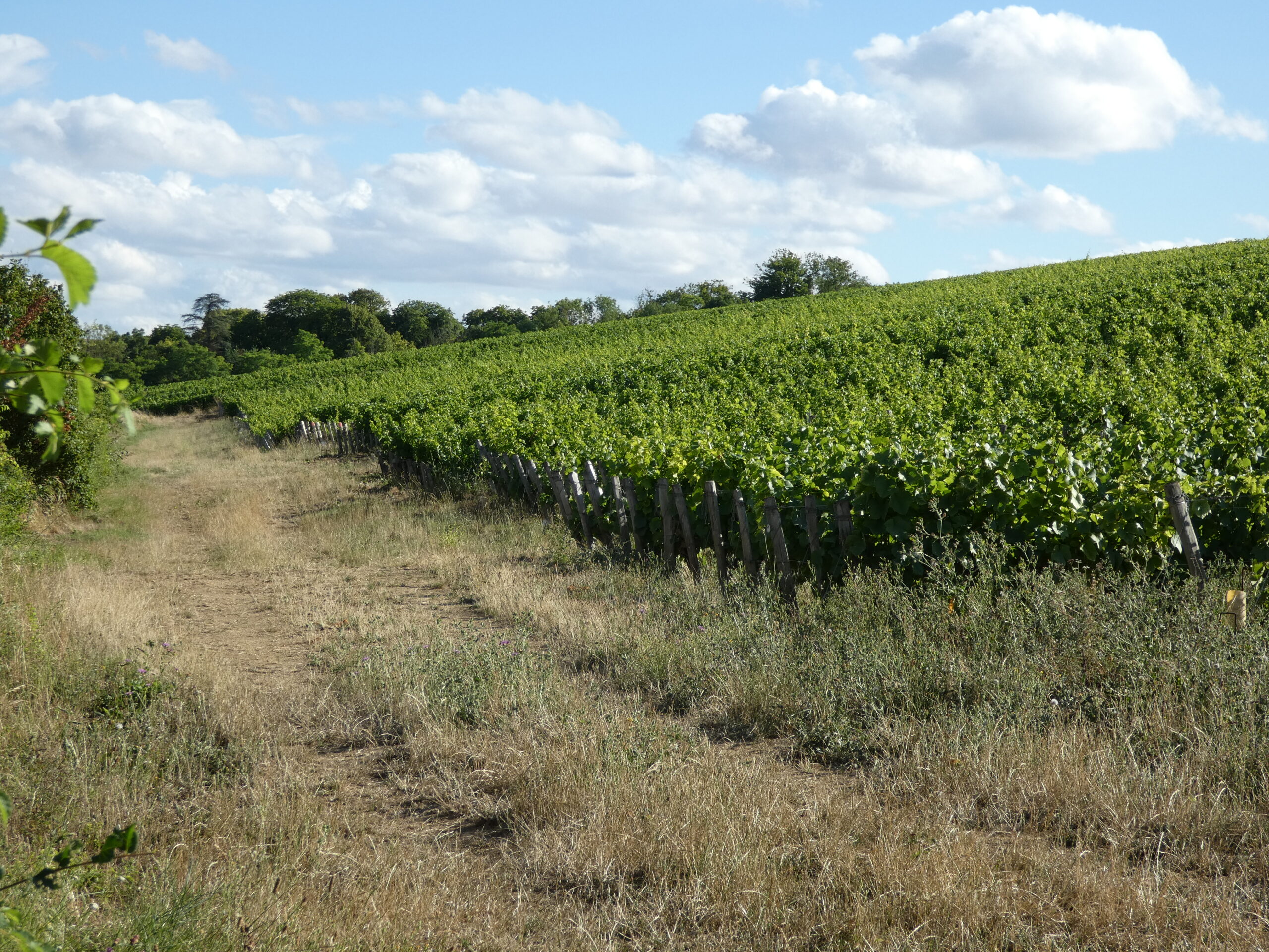 Domaine Philippe Raimbault