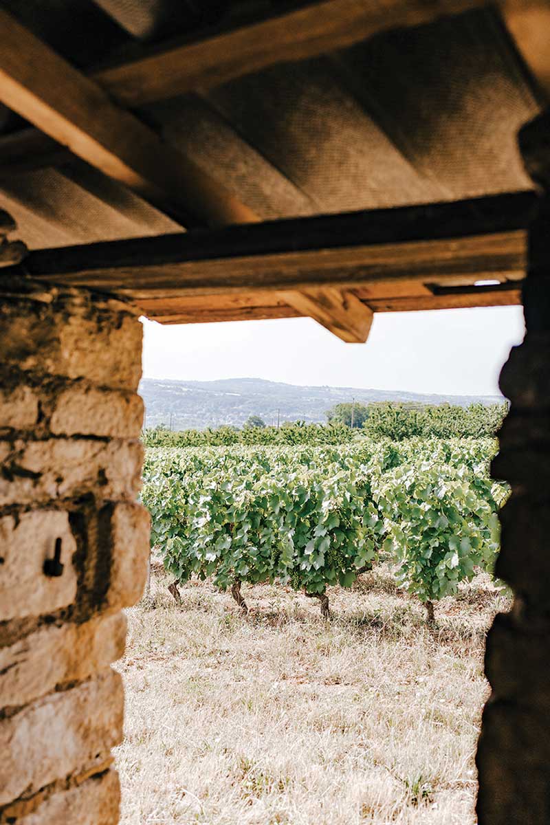 Domaine des Brosses