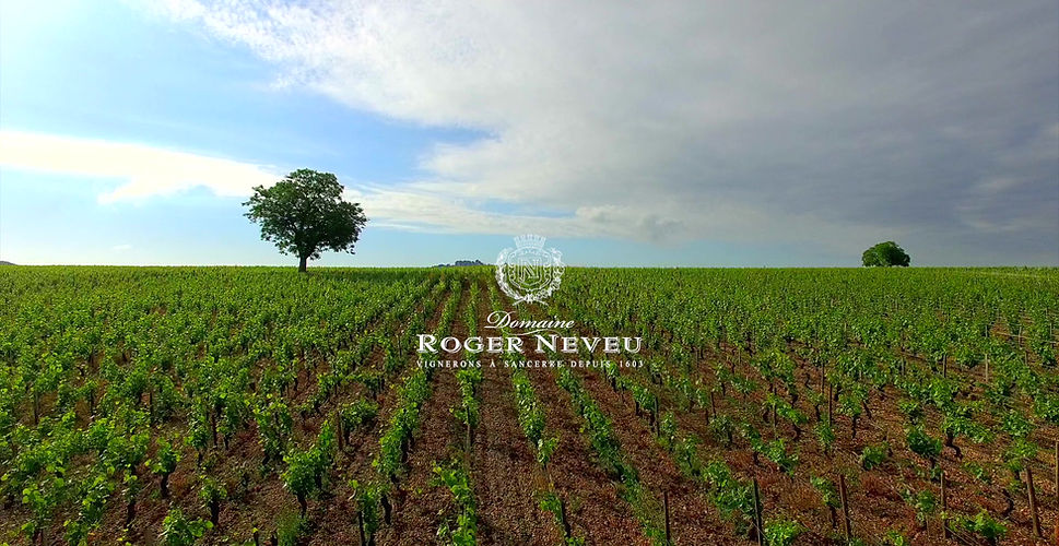 Domaine Roger Neveu & Fils