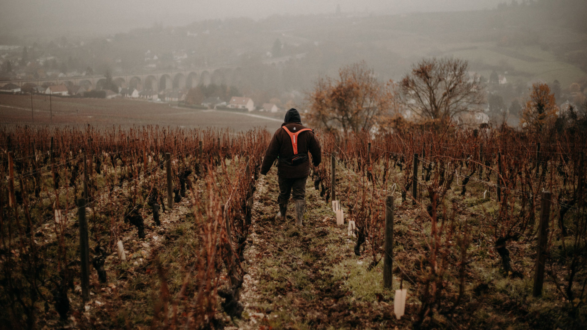 Domaine Pierre Riffault