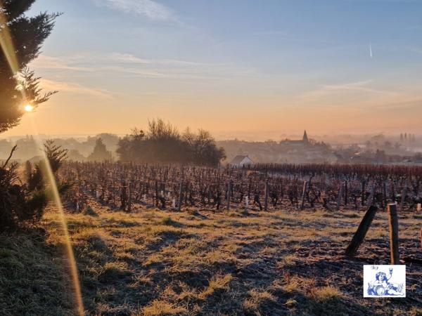 Domaine Jean-Jacques Bardin