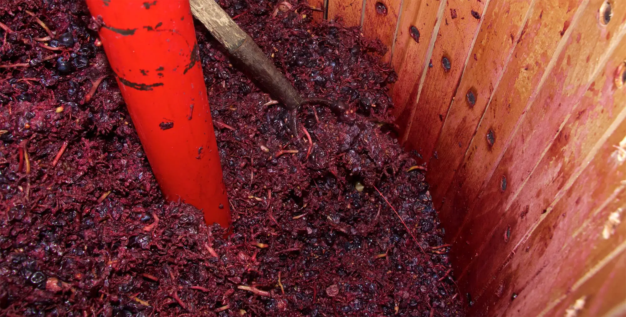 Domaine Guy Baudin & Fils