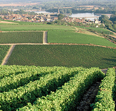 Domaine de Bel Air