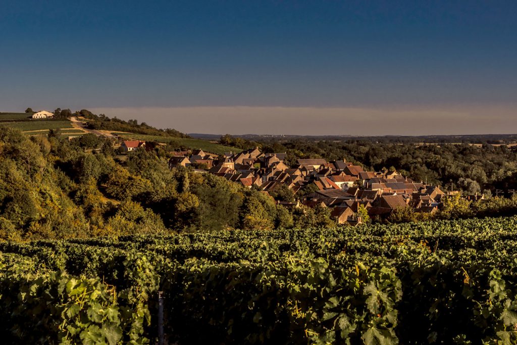 Domaine Jonathan & Didier Pabiot