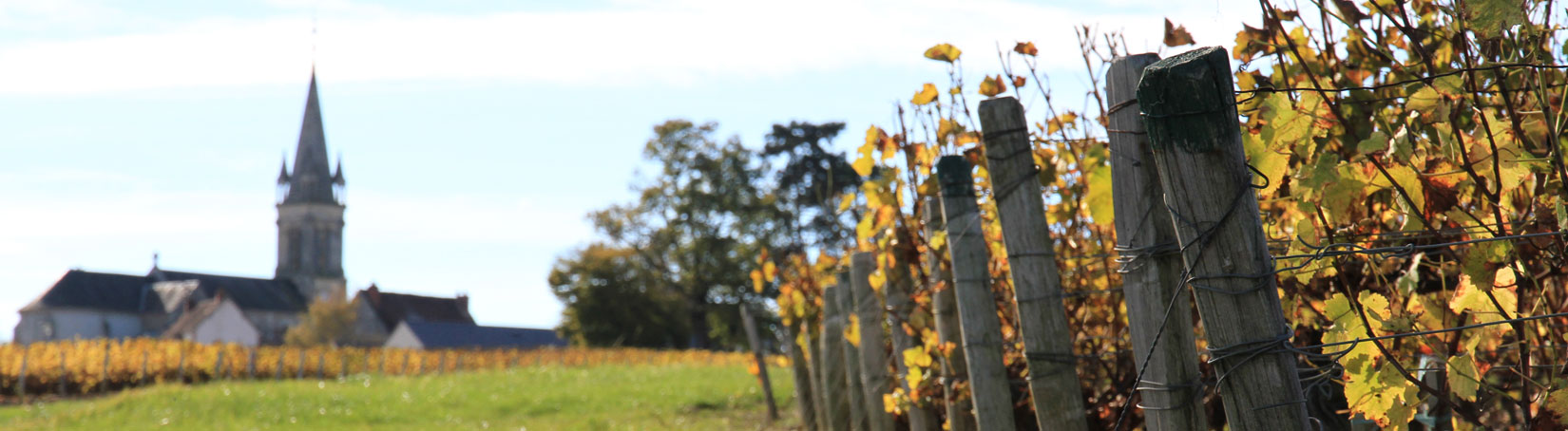 Domaine Beaulieu Frères