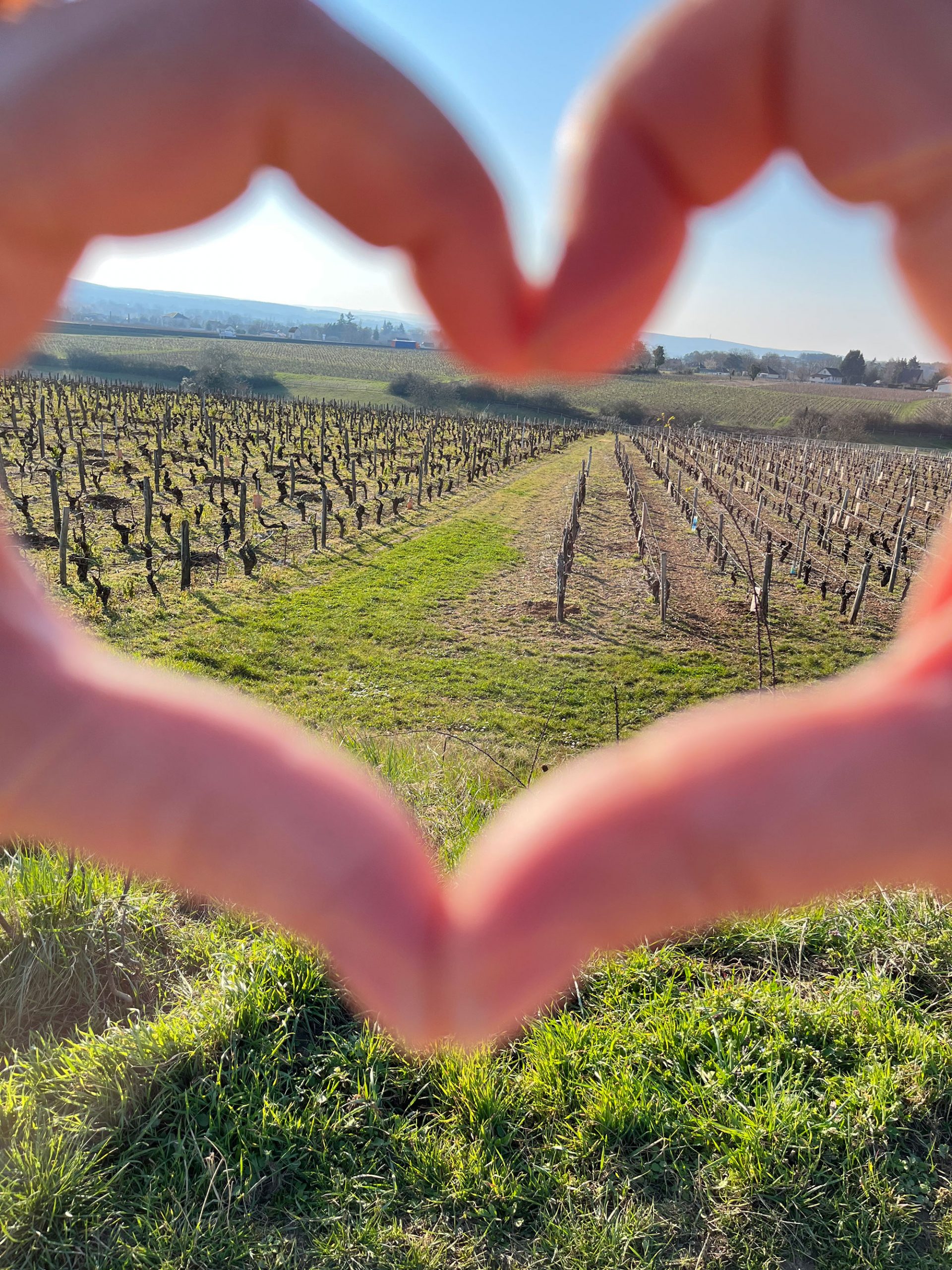 Domaine des Crots Perrons