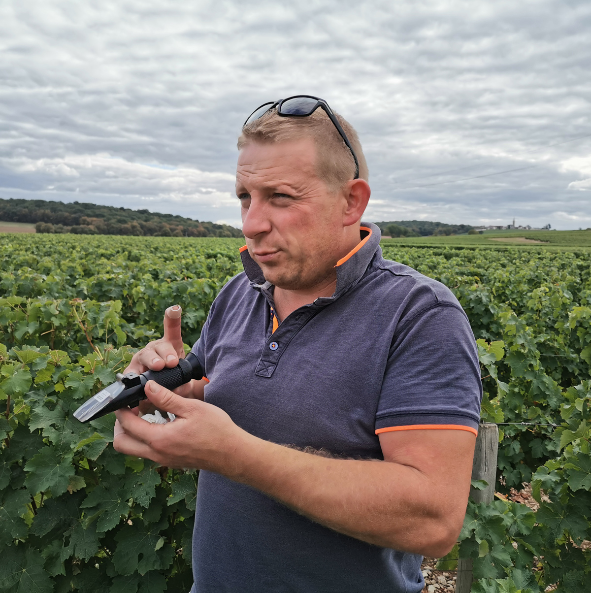 Domaine Jérôme Bruneau