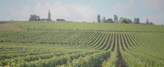Domaine Frédéric Michot