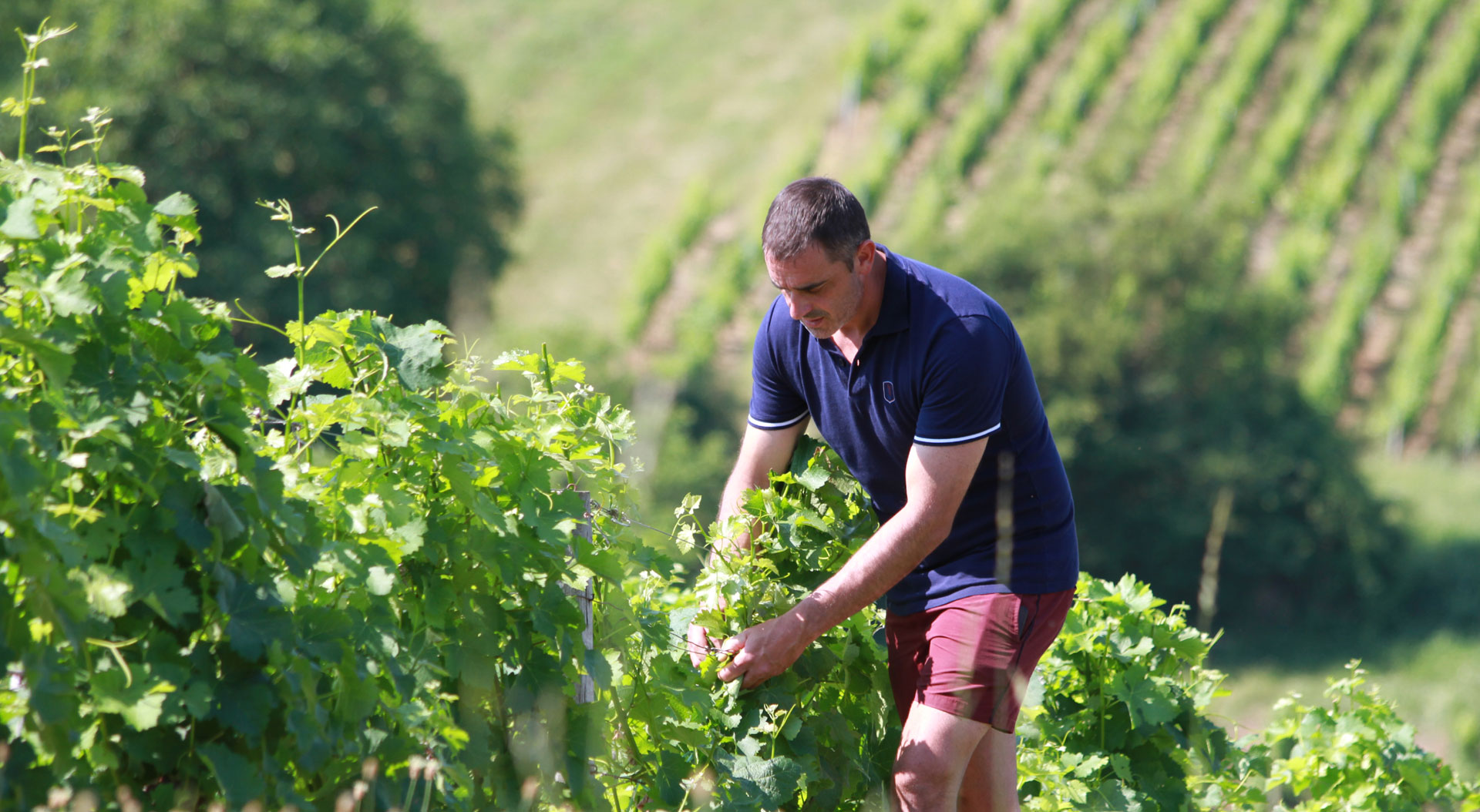 Domaine Bailly Jean-Pierre