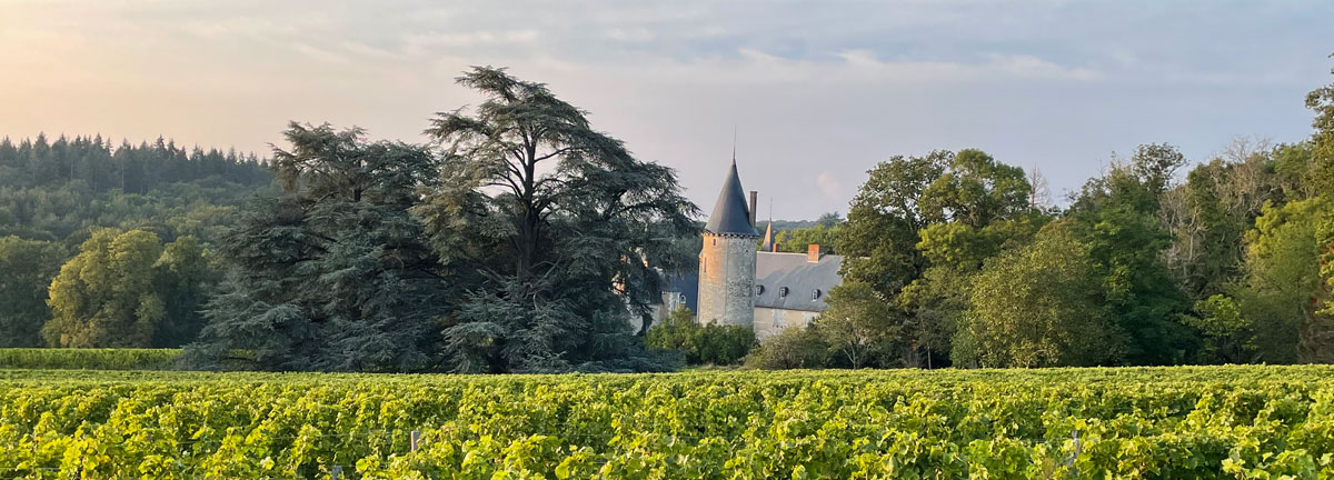 Chateau de Tracy