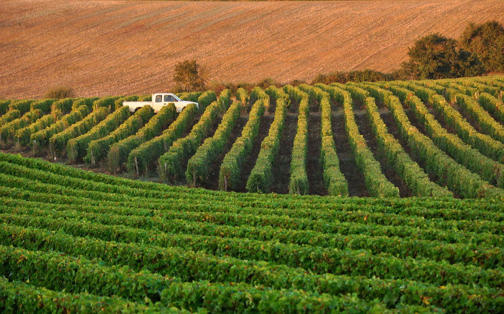 Domaine de L'Ermitage
