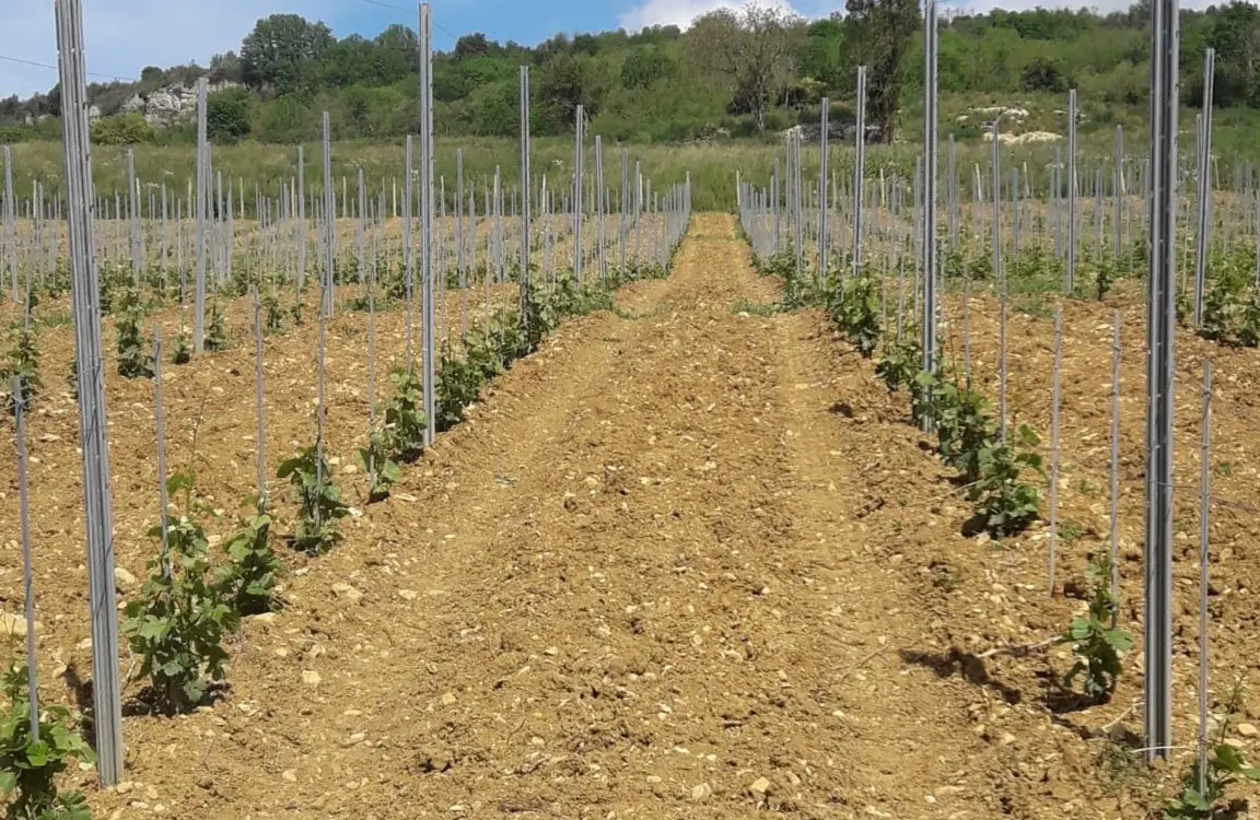 Domaine de la Cozanne