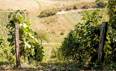 Cave Émile Balland