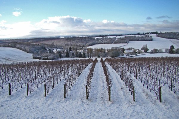 Domaine du Puits de Compostelle