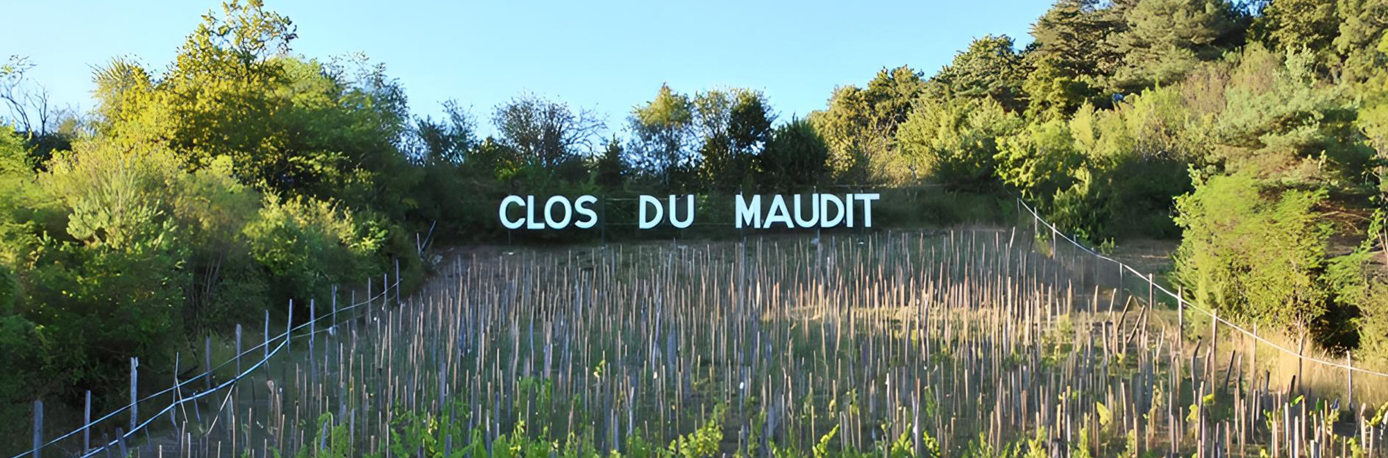 Domaine du Bourg D'Oiseau