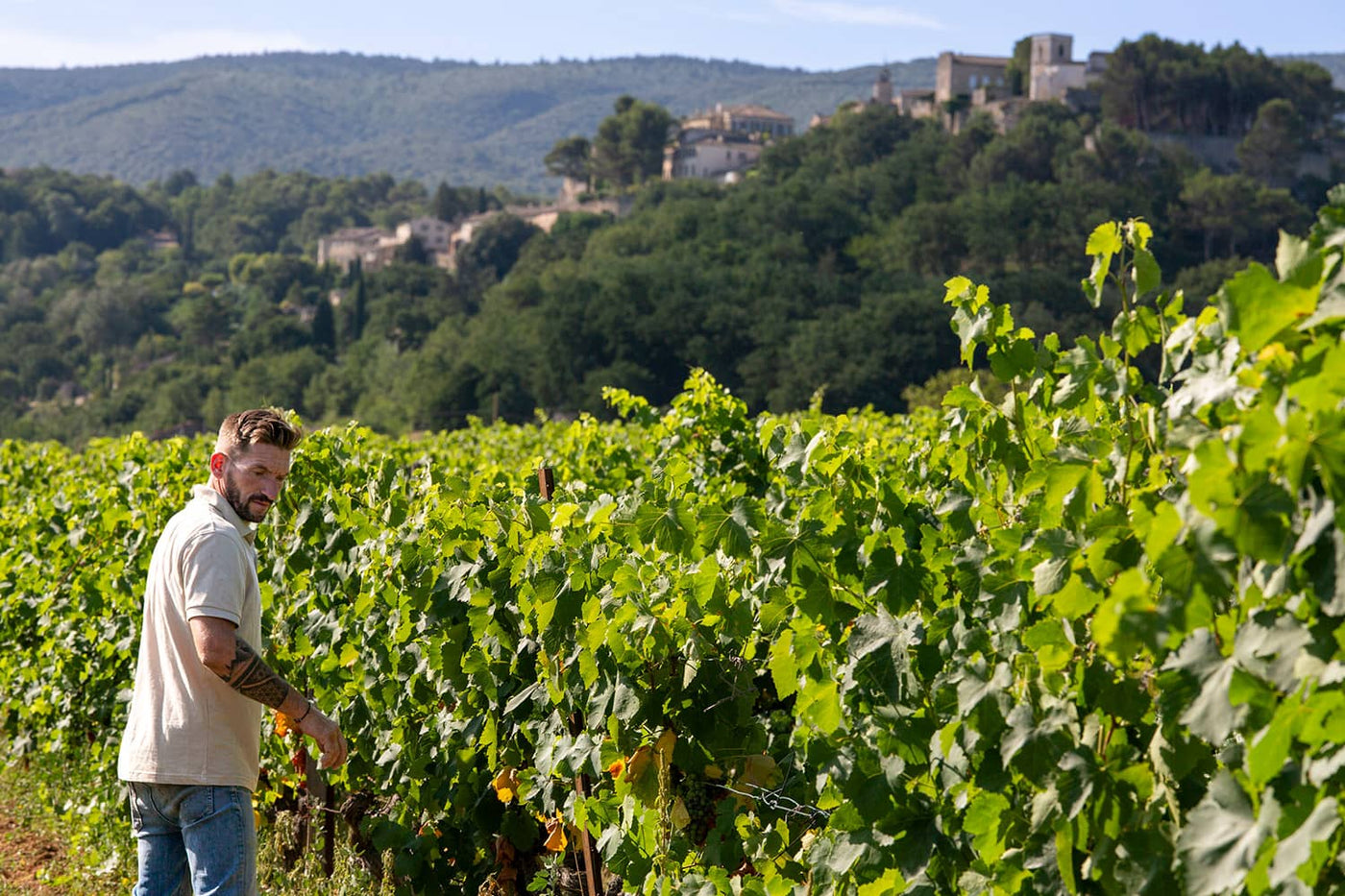 Domaine de la Citadelle