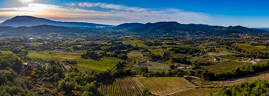 Cave Coopérative Vinicole