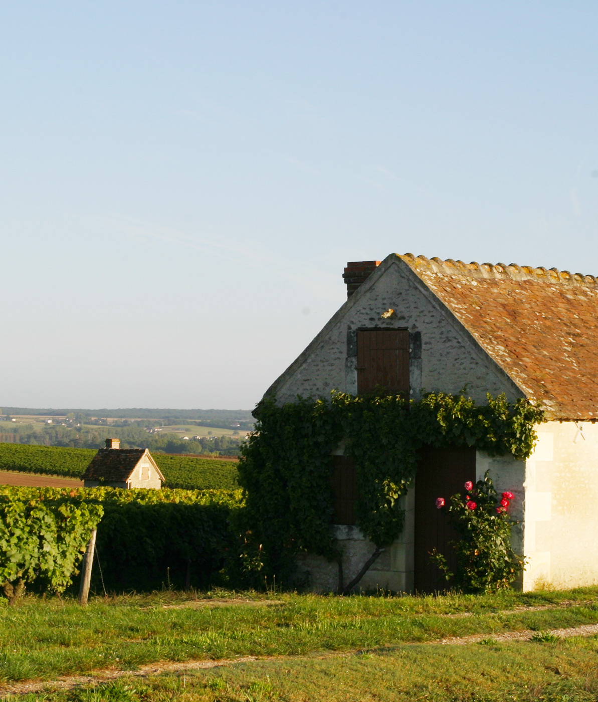 Domaine de la Grange