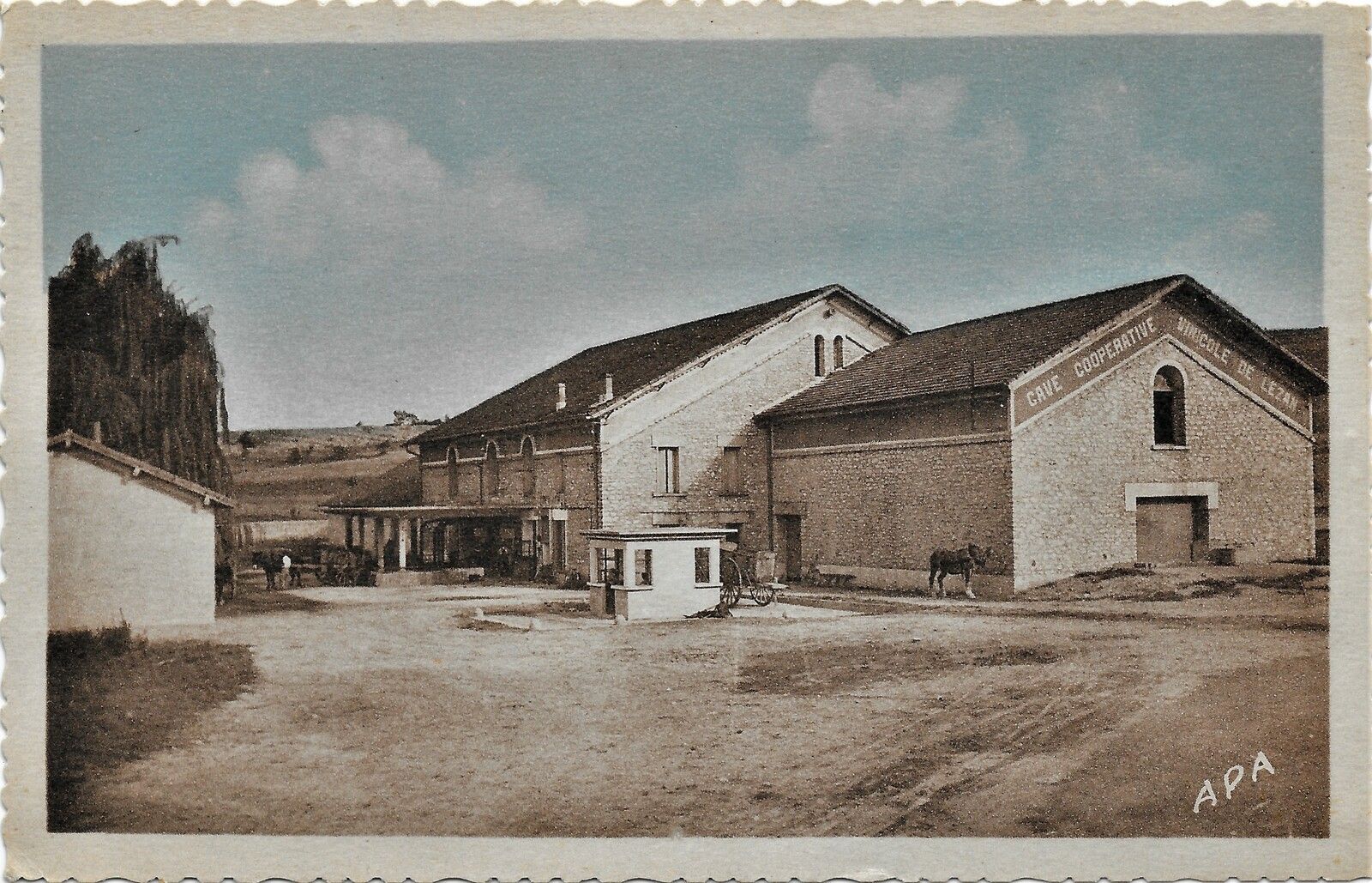 Cave coopérative vinicole de Lézan