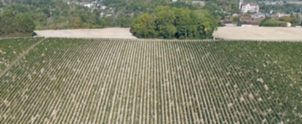 Domaine du Petit Béru