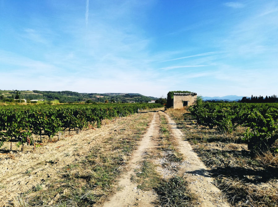 Domaine Jean David