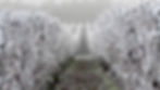 Domaine Debray