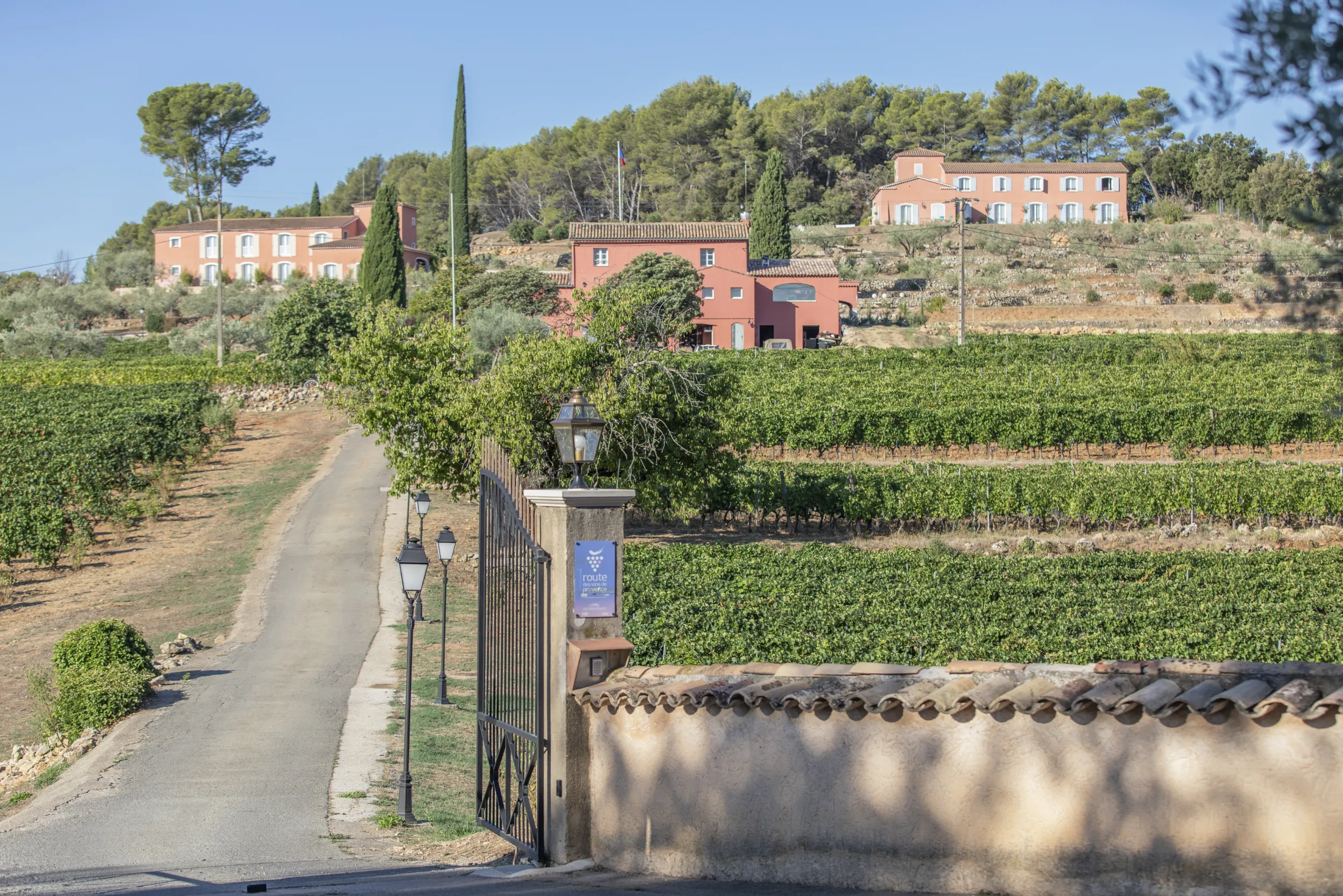 Domaine Rabiega