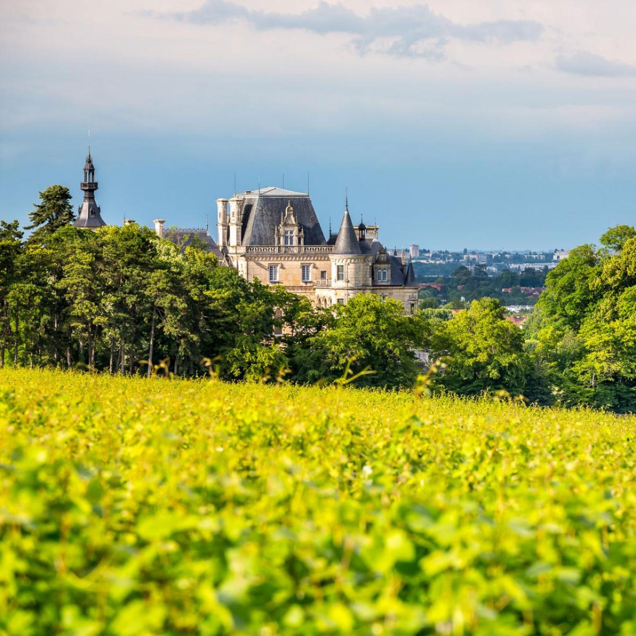 Domaine Cluny