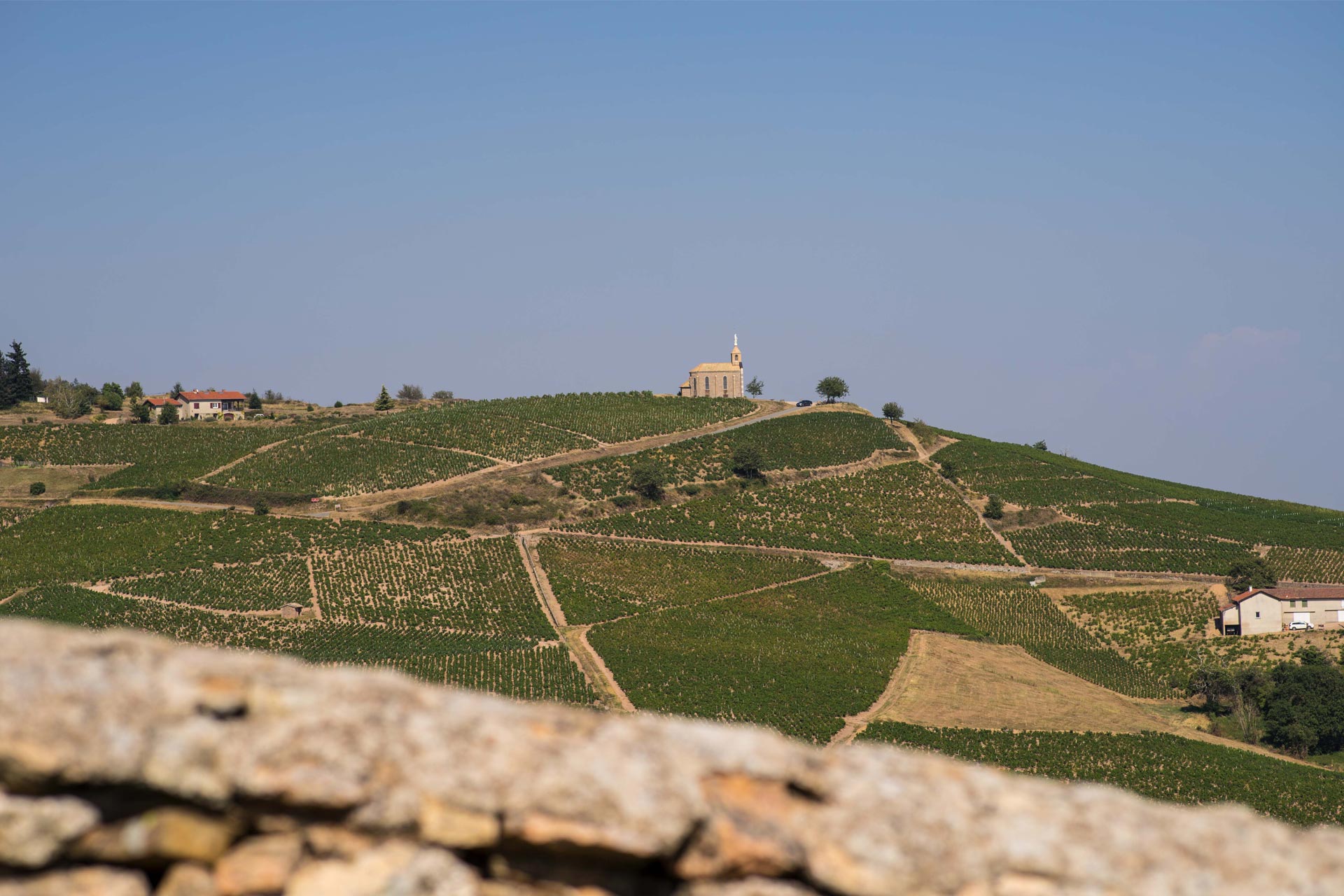 Cave de Fleurie