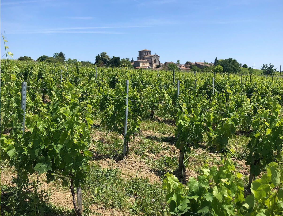 Domaine Duplessis