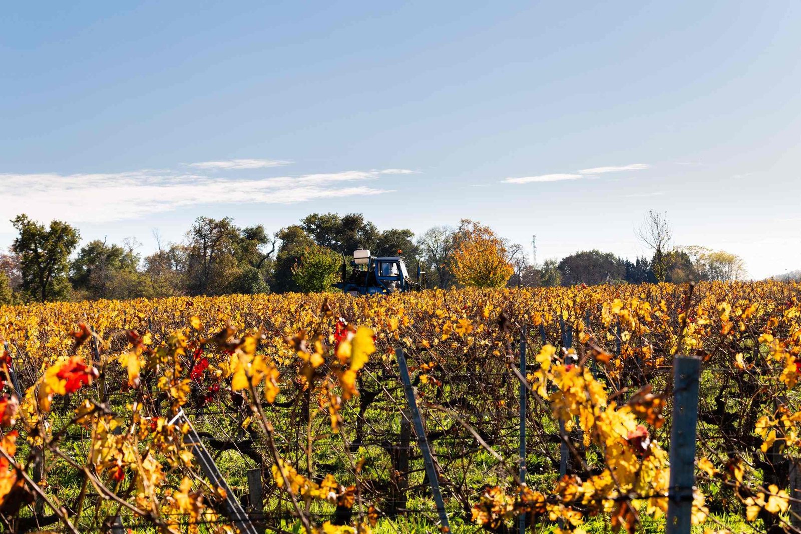 Domaine de Moulerin