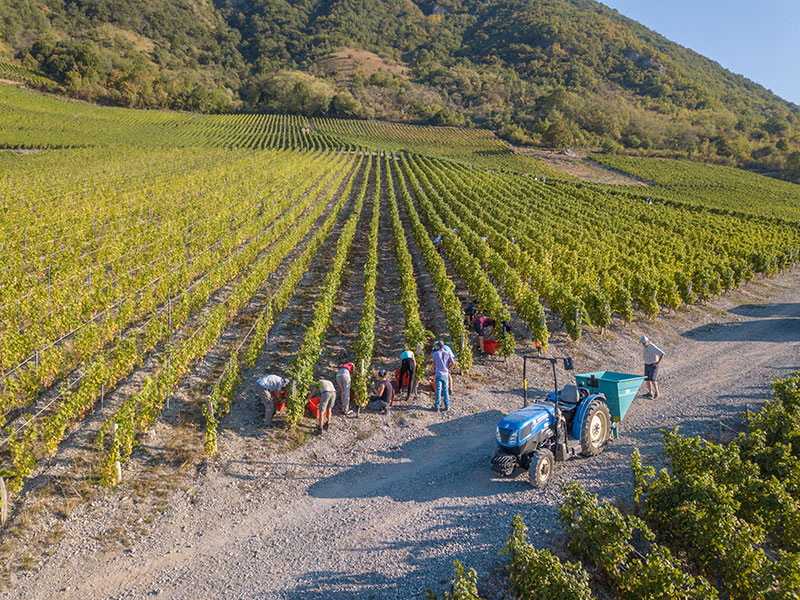 Domaine Jean Vullien et Fils