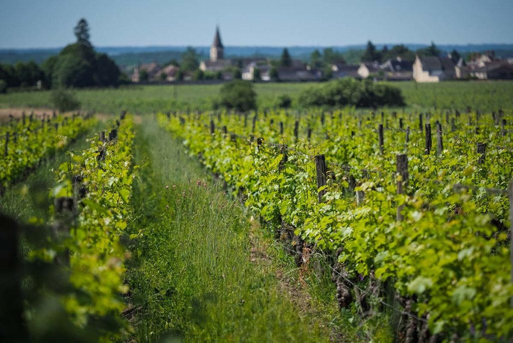 Domaine de la Chevalerie