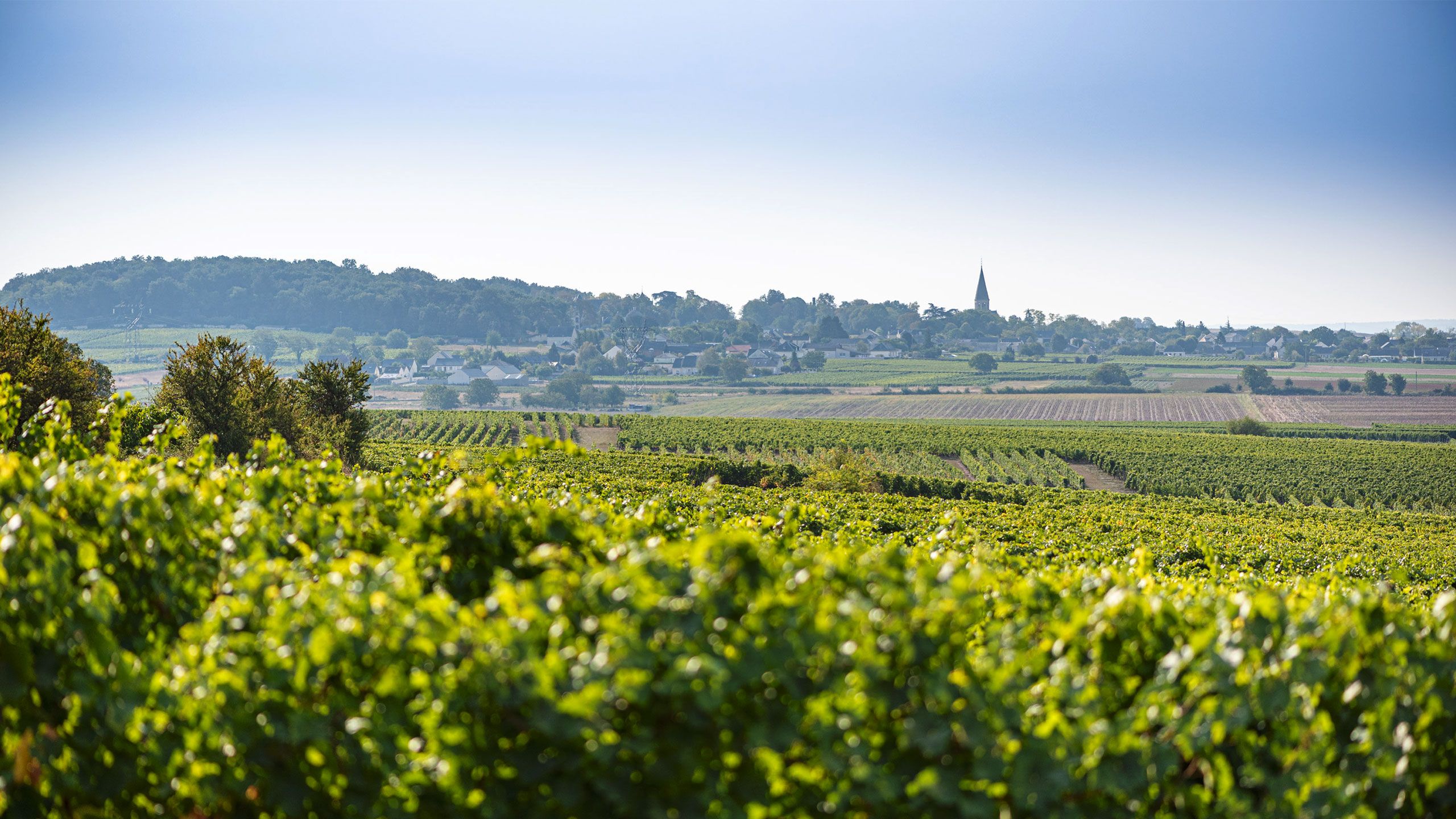 Domaine de la Guilloterie