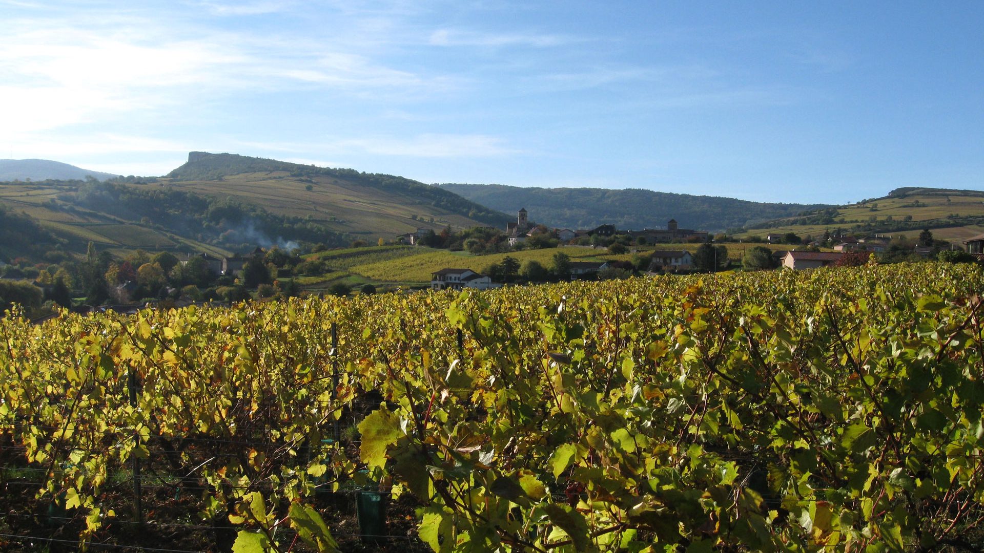 Domaine des Poncetys
